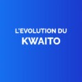 Ev kwaito