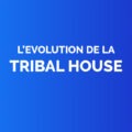 Ev tribal house