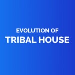 Evolution of tribal house