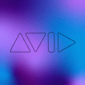 Avid 01