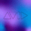 Avid 01
